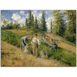 The Harvest, Pontoise (La Récolte, Pontoise)