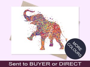 Multicolour Elephant