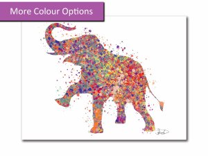 Multicolour Elephant